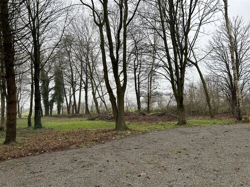 Teil des Baumbestands - 