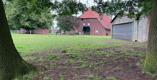 mit Weitblick - Landw. Anwesen in Diepenau zum Kaufen