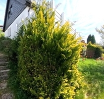 Baugrundstück in absoluter Premium Lage in Eppstein Vockenhausen