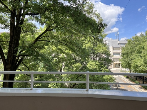 Aussicht vom Westbalkon - 