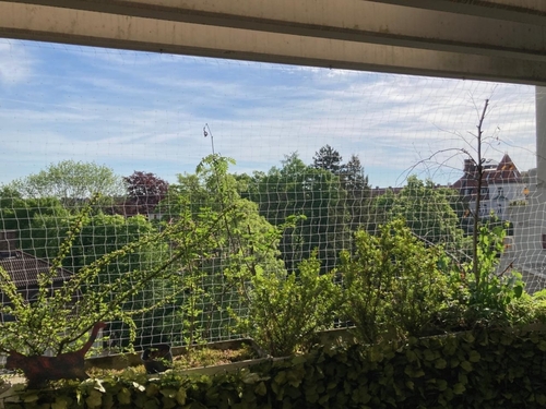 Eigener Balkon mitte - 