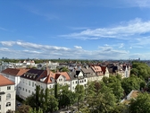 IMG_5065 - 