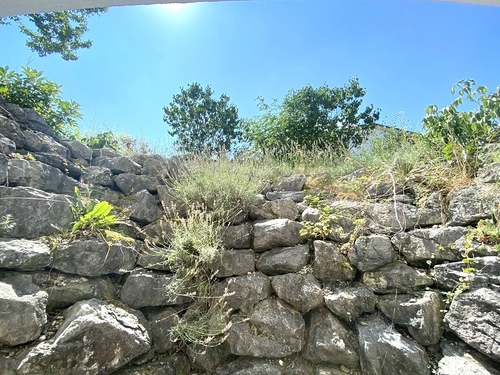 Blick von Einliegerwohnung (2) - 