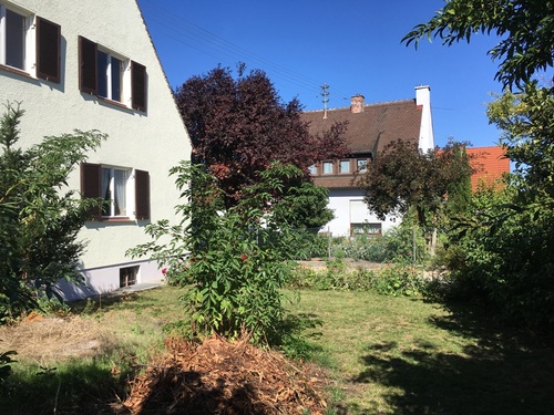 vor dem Haus - 