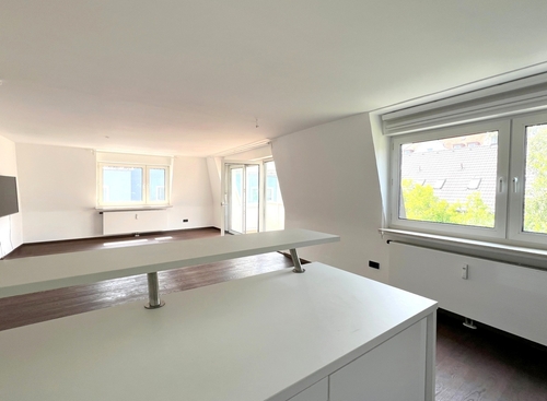 Wohn/Esszimmer mit offener Küche - 