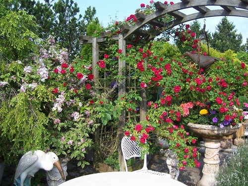 Rosengarten - 