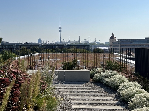 Terassen-Ausblick - 