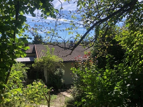 blick vom Garten auf das Haus - 