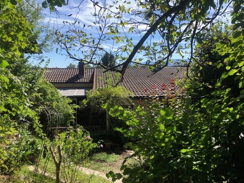 Blick vom Garten auf das Haus - 