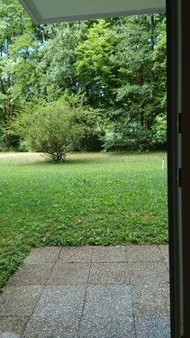 Blick zum Forstenrieder Park - 3 Zimmer Erdgeschoßwohnung in München