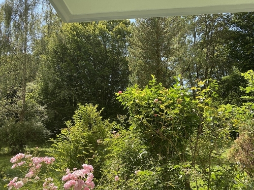 Blick von der Terrasse - 3-Zimmer-Wohnung direkt am Forstenrieder Park