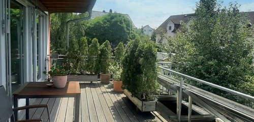 Terrasse EG - 