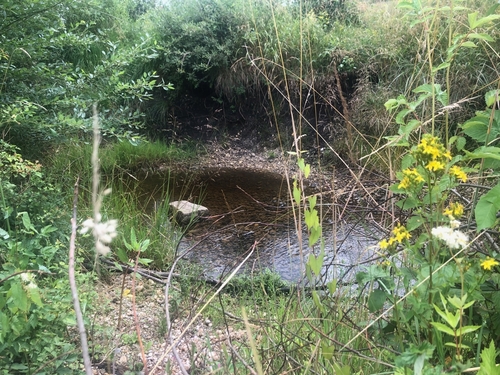 Bachlauf - Grundstück in Penzberg zum Kaufen