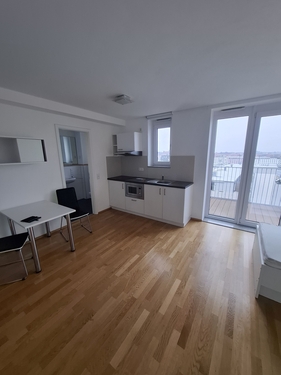 Apartment Nürnberg Wohnraum mit Küche - 