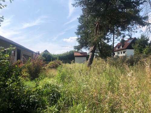 Blick nach Norden zur Straße - Grundstück in Tegernbach Pfaffenhofen an der Ilm