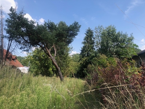 Blick nach Osten - Praktisches Baugrundstück mit Potential in Pfaffenhofen an der Ilm