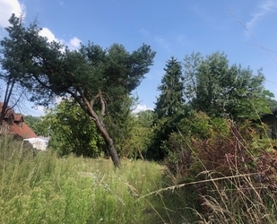 Praktisches Baugrundstück mit Potential in Pfaffenhofen an der Ilm - Tegernbach Pfaffenhofen an der Ilm