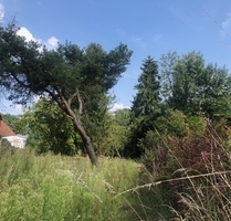 Praktisches Baugrundstück mit Potential in Pfaffenhofen an der Ilm - Tegernbach Pfaffenhofen an der Ilm