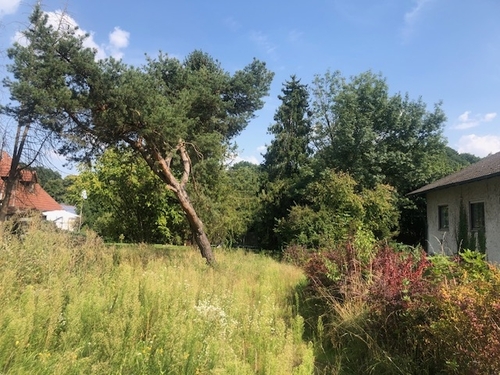 Grundstück mit Nachbargebäuden - Grundstück in Tegernbach Pfaffenhofen an der Ilm zum Kaufen