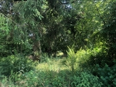 Blick nach Süden zum Bachlauf - Grundstück zum Kaufen in Tegernbach Pfaffenhofen an der Ilm
