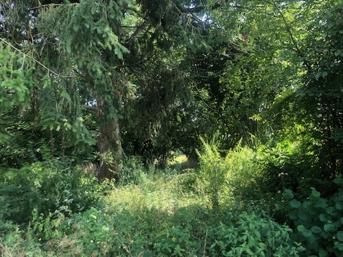 Blick nach Süden zum Bachlauf - Grundstück zum Kaufen in Tegernbach Pfaffenhofen an der Ilm