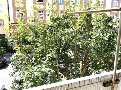 Blick von der Loggia - 