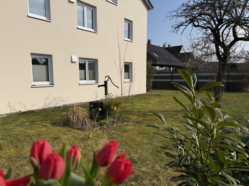 Eigener Obstgarten im Frühlingzur Westseite - 
