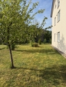 Obstgarten - 