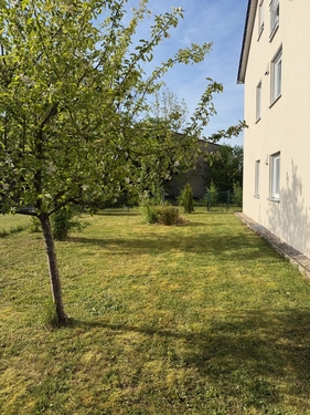 Obstgarten - 