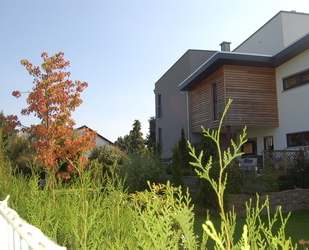 Einfamilienhaus + Einliegerwohnung ca. 350m² Wohnfläche Gesamt und ca. 802m² Grundstück in Top Lage ! - Büttelborn