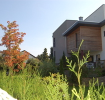 Einfamilienhaus + Einliegerwohnung ca. 350m² Wohnfläche Gesamt und ca. 802m² Grundstück in Top Lage ! - Büttelborn