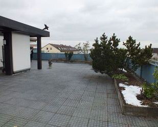 Penthouse mitten in Nauheim mit ca. 135m² Wohnfläche und 185m² Terrasse inkl. Garage