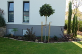 Haus - 