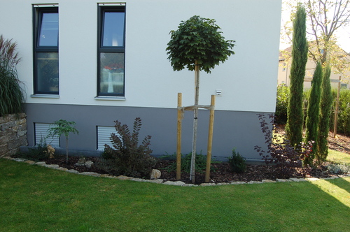 Haus - 