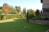 Ausblick - 