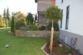 Garten - 
