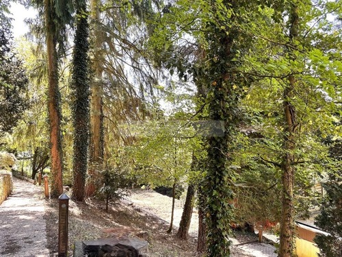 IMG_2307 - Rückzug statt Alltag – außergewöhnlich wohnen in Hohensyburg