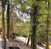 Rückzug statt Alltag – außergewöhnlich wohnen in Hohensyburg - Dortmund