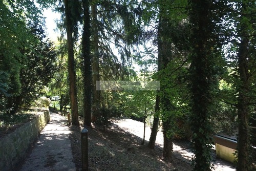Garten - 