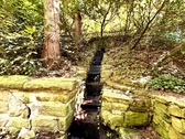 Bach im Garten - 