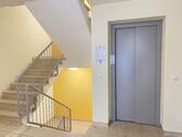 Treppenhaus mit Aufzug - 2 Zimmer Etagenwohnung zur Miete in Bruchsal