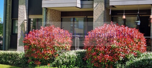 Loggia überdacht - 
