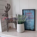HOME - 