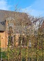 Jung und verklinkert - 5 Zimmer Doppelhaushälfte in Gütersloh