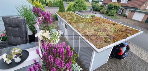 Carport u. Fahrradschuppen - 