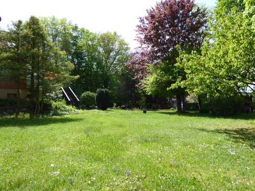 Außenanlage - 6 Zimmer Einfamilienhaus zum Kaufen in Stegaurach