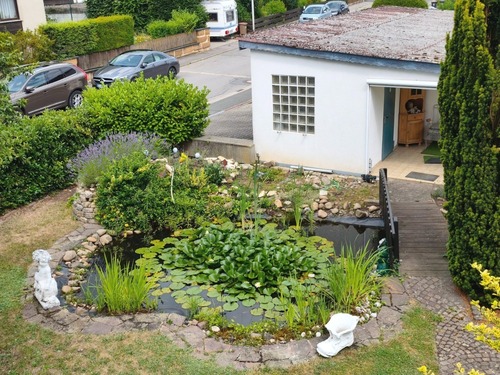 Gartenteich - 