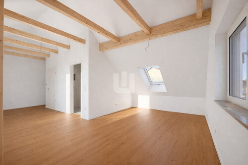 Wohn- und Essbereich - 