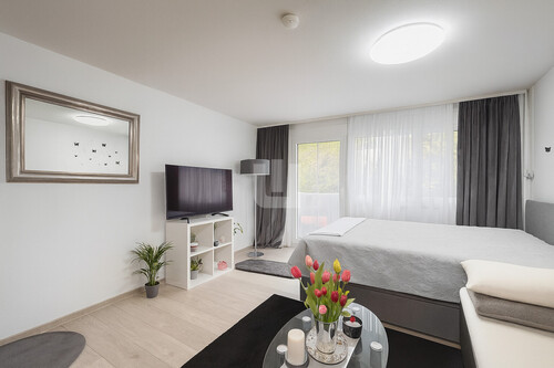 Wohn- und Schlafzimmer - 1 Zimmer Etagenwohnung in Fürstenfeldbruck / Buchenau