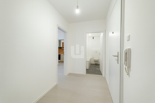 Flur - 2 Zimmer Etagenwohnung zur Miete in München